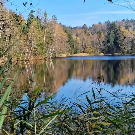 Pied Des Milles Etang - Les Capucins Faucogney-et-la-Mer